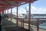 【波照間島発】離島を効率移動！高速船予約で波照間島から西表島へ直行
