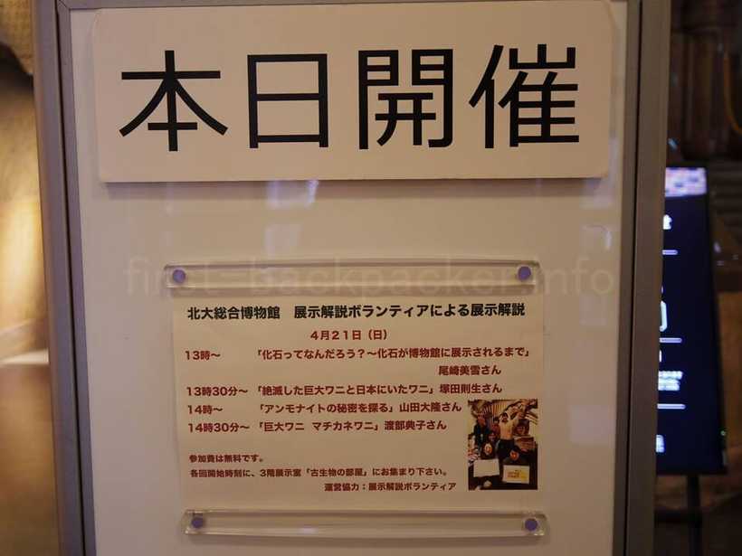 北海道大学総合博物館の展示解説の時間割