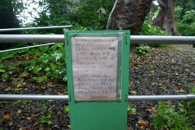 大赤アカギの説明